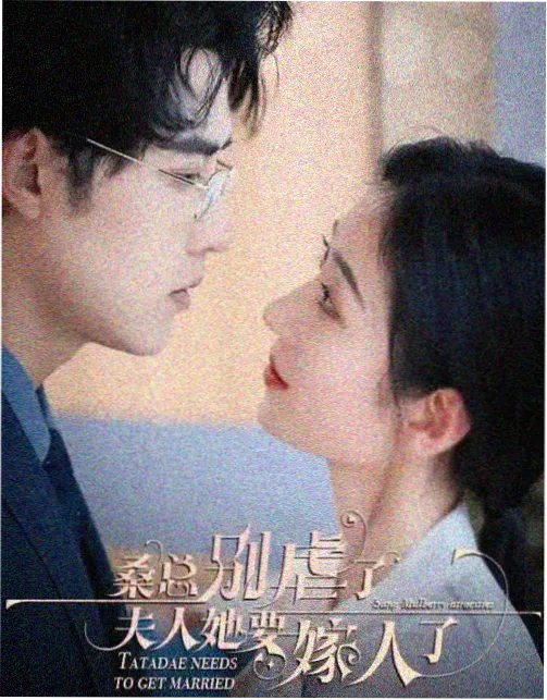 国产情景喜剧家有儿女海报